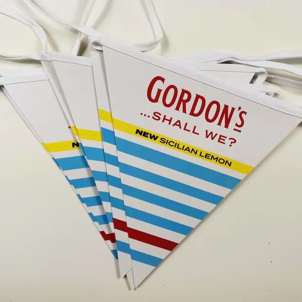 Outdoor Custom Pennants Full Color Imprinting PVC Bunting Flags